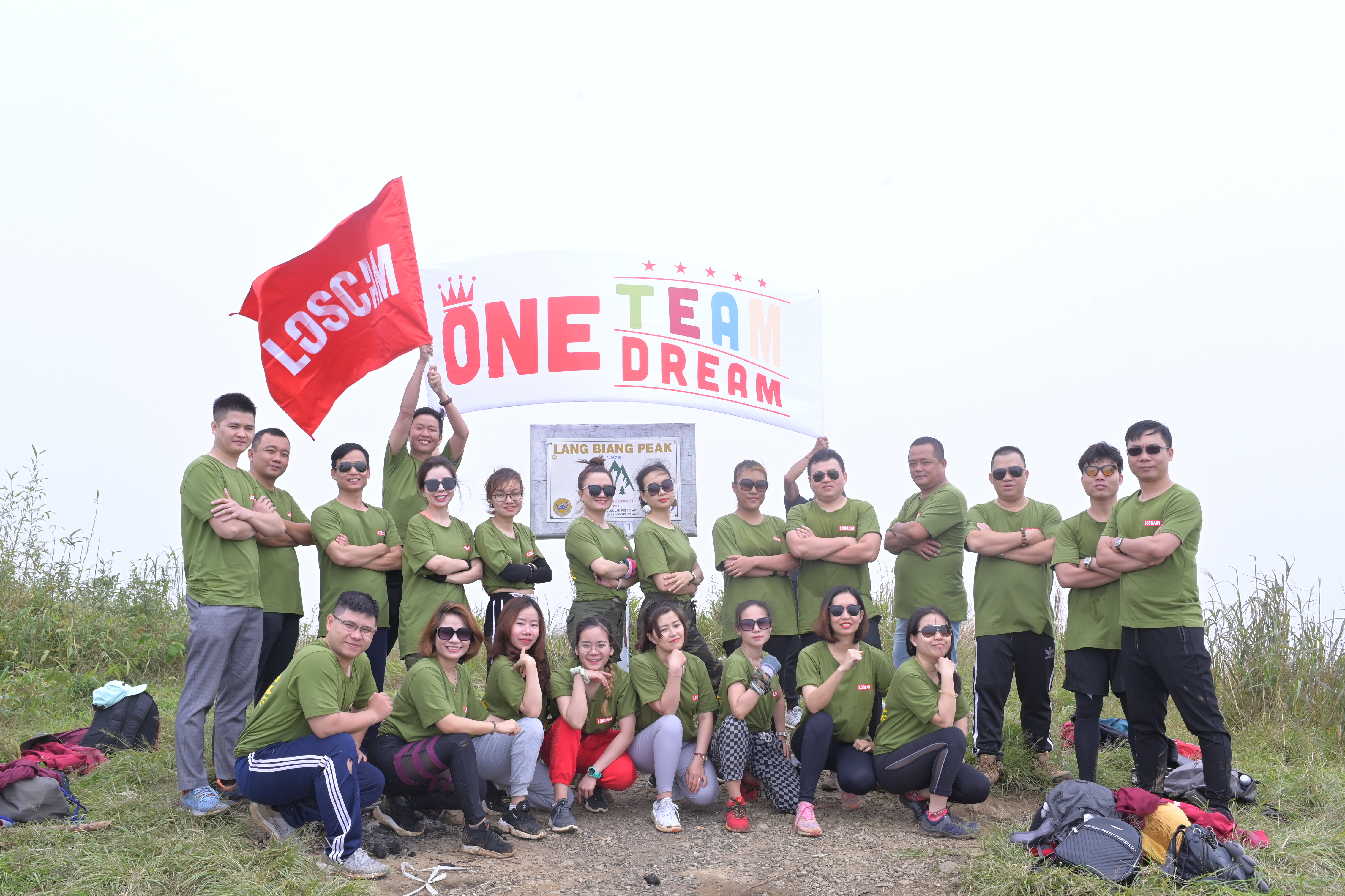 Issue 33 Loscam Vn Tb