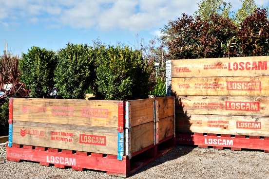 Pallet Pooling Solutions | Pallet Hire | Loscam